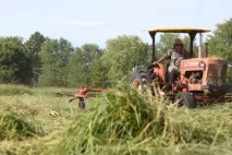 Пальне з трави може постачатися у вигляді пелет, кубиків або брикетів. пальне