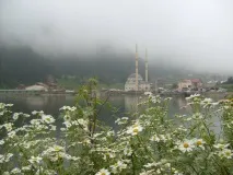 HOTEL PALACE турция
