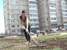градина цветни