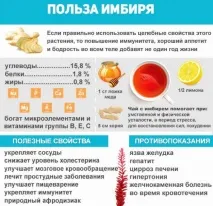 най-добрите джинджифил