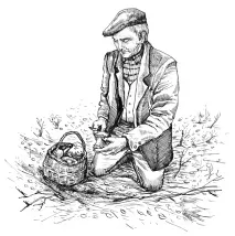 гъби Олга Курилова