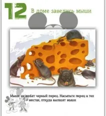 идеи разпространение