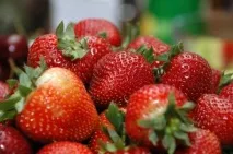 Ваша плантація суниці сорту