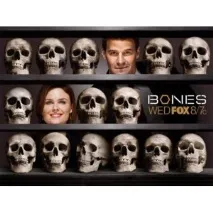 bones