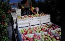 Бізнес у Молдові Молдові