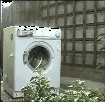 бублик