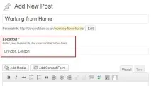 Custom fields - довільні поля WordPress, WPNICE fields
