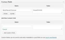 Custom fields - довільні поля WordPress, WPNICE custom