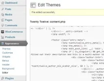 Custom fields - довільні поля WordPress, WPNICE fields