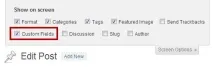 Custom fields - довільні поля WordPress, WPNICE довільні
