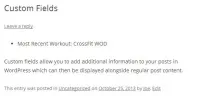 Custom fields - довільні поля WordPress, WPNICE довільні