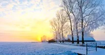 позбавила