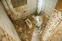 госпіталь