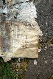 сорталі