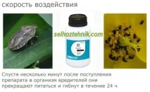 інструкція