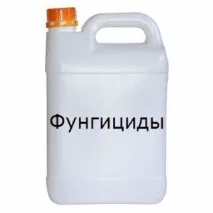 Груша - Катедральна - основні хвороби та шкідники рослини катедральна