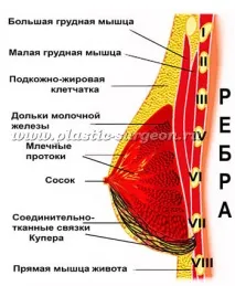 андрей консултирате специалист