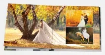 Виготовлення весільних фотокниг весілля