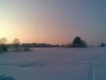 глухариний
