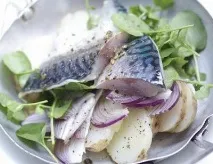 Як маринувати скумбрію в домашніх умовах скумбрію