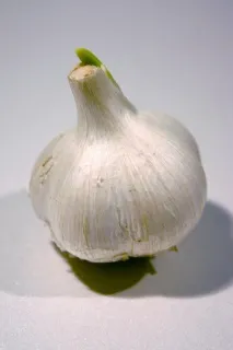 Які корисні властивості мають часник - Продукти харчування корисні