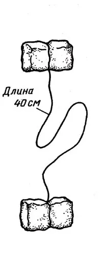 Як зробити і розмістити годівницю - Стежка - Недільна школа - Статті - Школа радості годівницю