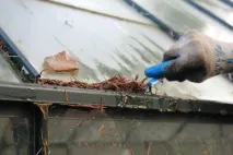 Як підготувати теплицю до зимівлі 7 корисних порад підготувати