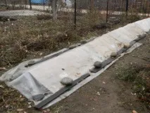 Як ховаються троянди на зиму у Волгограді троянд
