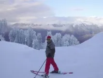 лижами