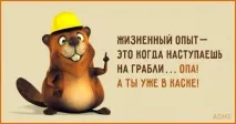 Картинки та фото про гарний настрій гарного