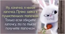 Картинки та фото про гарний настрій настрій