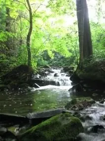 руками