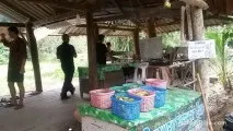 Катання на слонах на Пхукет де покататися самостійно, ціни, екскурсії слонах