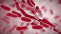Клебсієлла удитини особливості, симптоми, лікування особливості