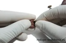 зерна