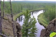 місця