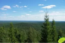 місця