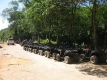 Катання на слонах на Пхукет де покататися самостійно, ціни, екскурсії катання