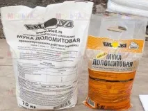 полуниця
