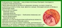 Клебсієлла удитини особливості, симптоми, лікування особливості
