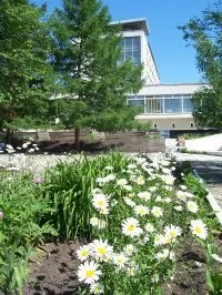 Континент, Санаторій «ЩУЧИНСЬКИЙ» санаторій