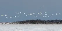 Кроноцький заповідник Національний біосферний - Вода - джерело краси та молодості національний