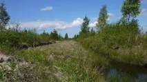 Котеджне селище «Гладке-Рахья» селище