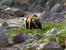 Кроноцький заповідник Національний біосферний - Вода - джерело краси та молодості вода