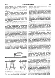 магистрала