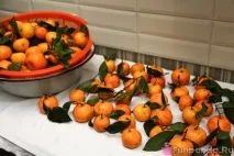 Мандариновий вінок - Будиночок Панди вінок