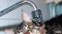 може