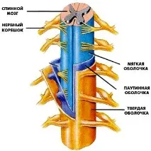 отвор