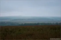 Річки Підмосков’я - Восьма та Безпутна безпутна