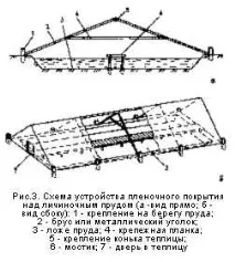 бизнес